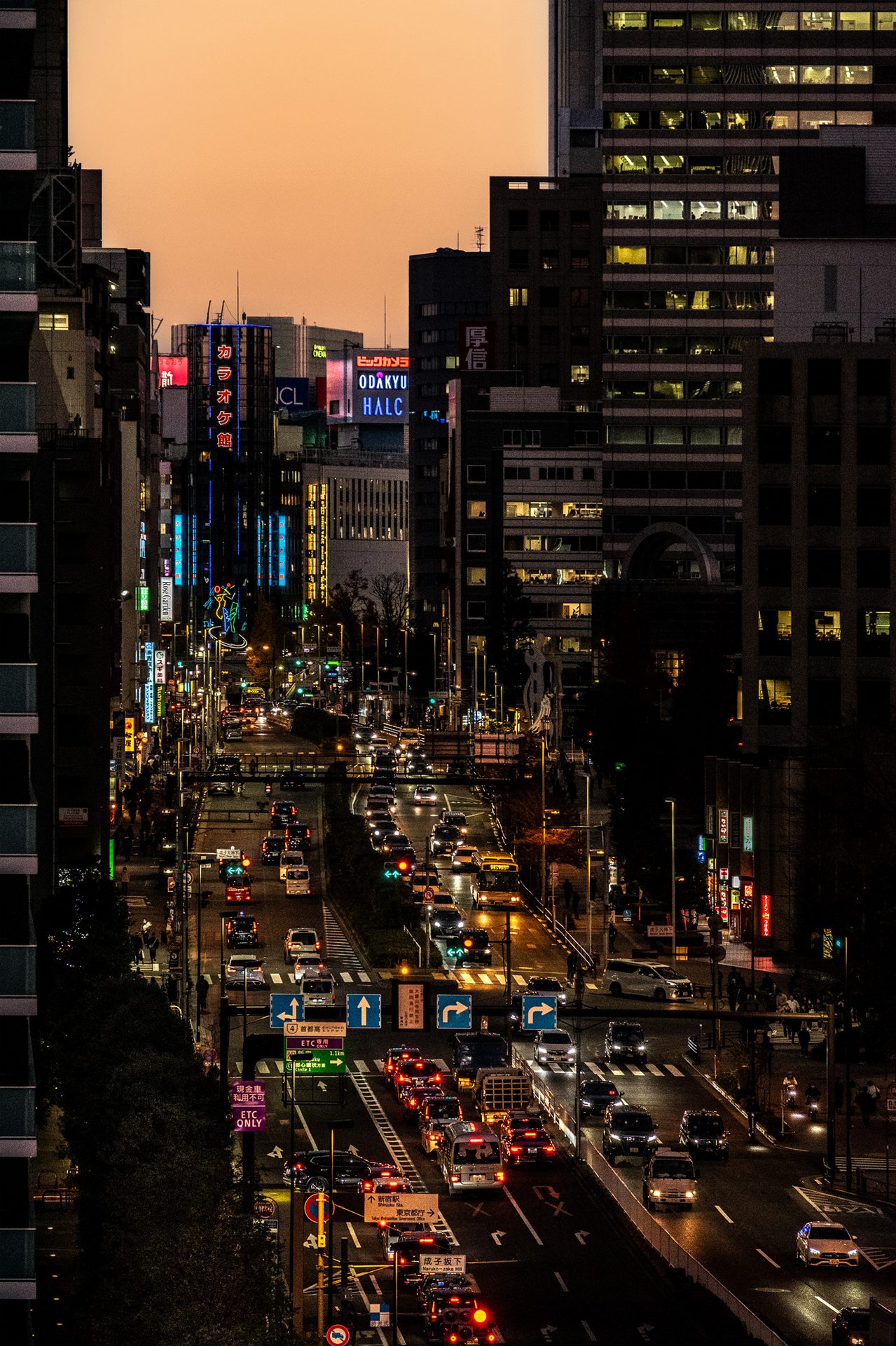 剔抉 ©2022