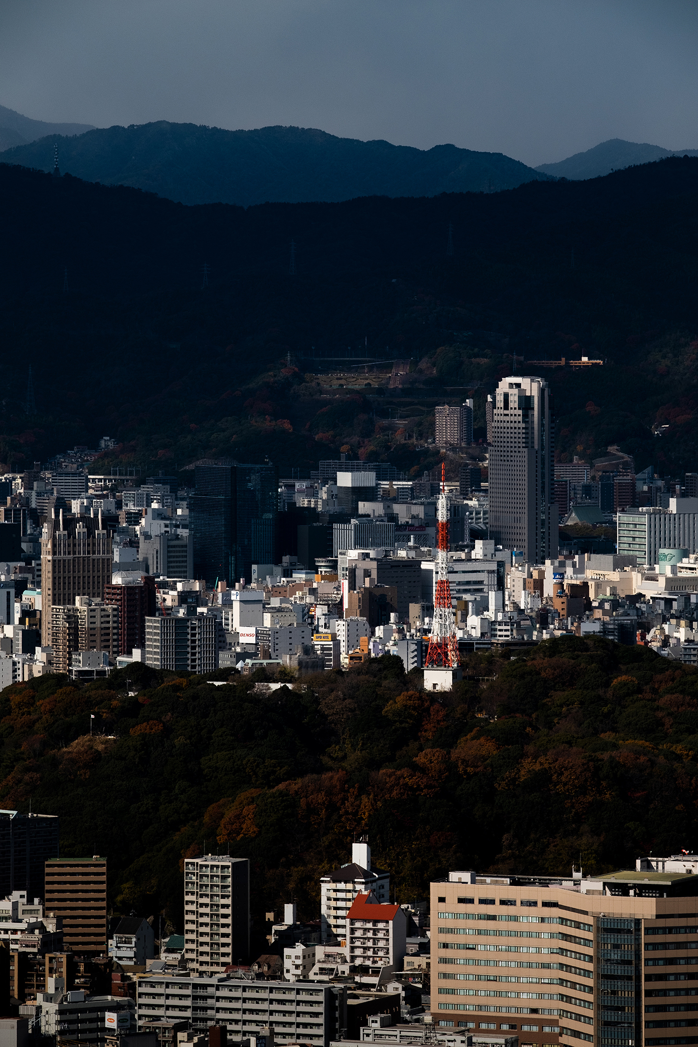 Miniature Assort ©2020