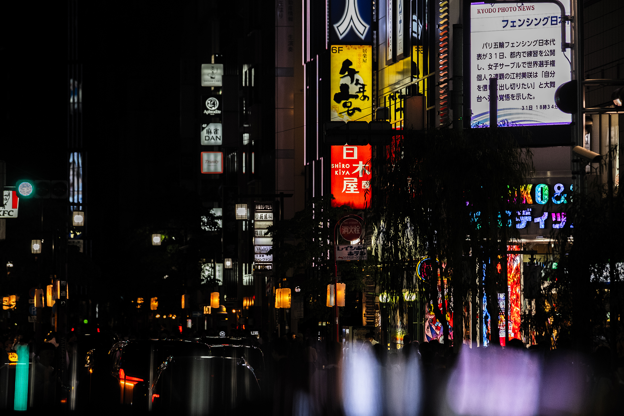 saturation_案 ©2024