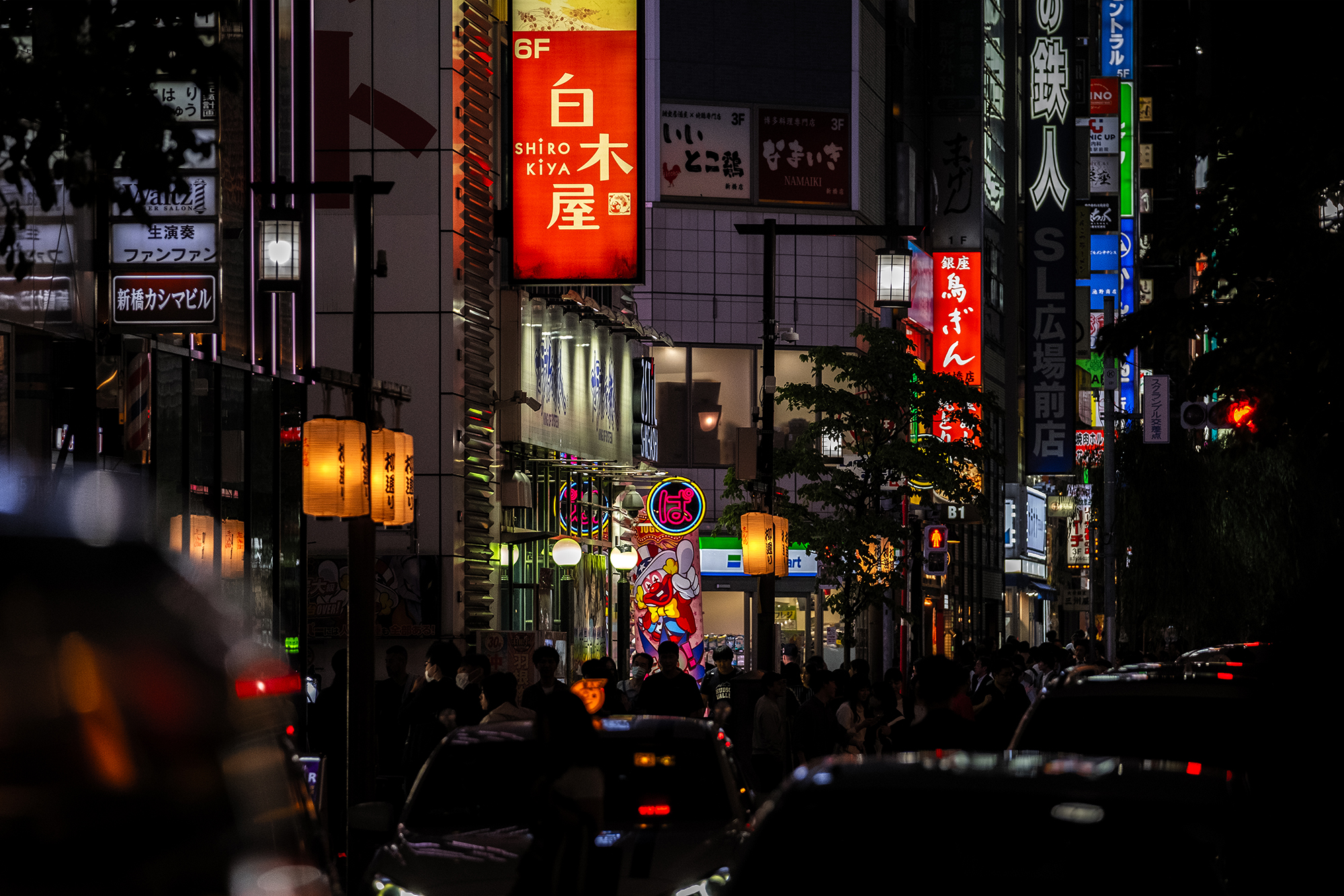 saturation_疑 ©2024